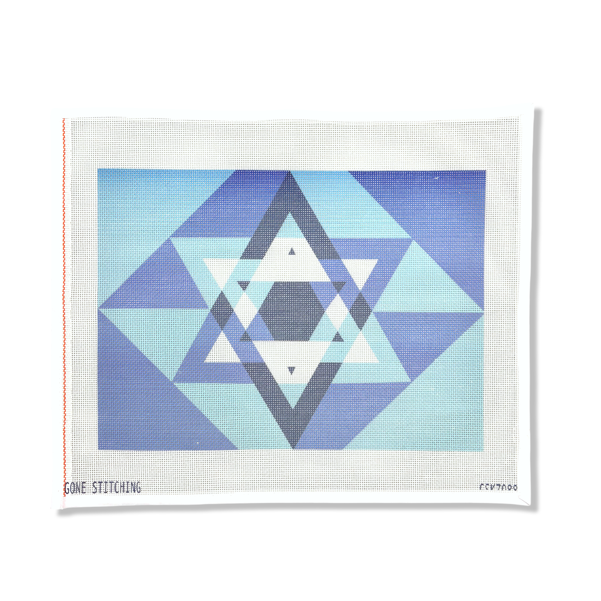 JEWISH STAR PRINTED TALLIS BAG