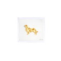 THE GOLDEN RETRIEVER
